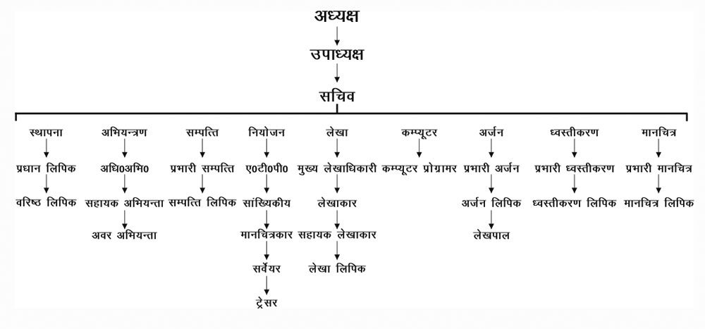 ADA Organization Structure